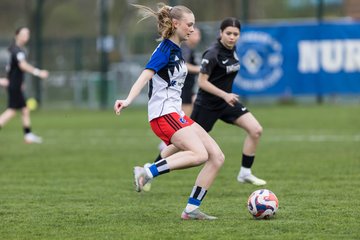 Bild 52 - wBJ Hamburger SV - Eimsbuettler TV : Ergebnis: 4:0